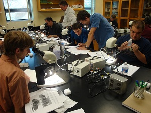 Researchers participate in a hands-on exercise