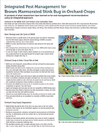 IPM for Brown Marmorated Stink Bug in Orchard Crops