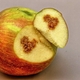 Damage to apple from BMSB