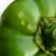 Feeding injury on pepper.