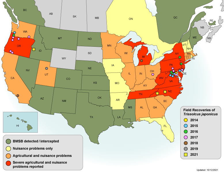 U.S. Map of Field Recoveries of Trissolcus japonicus