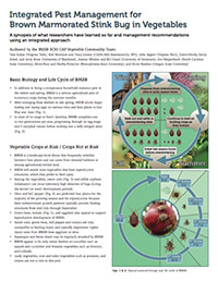 IPM for Brown Marmorated Stink Bug in Vegetables