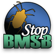 StopBMSB